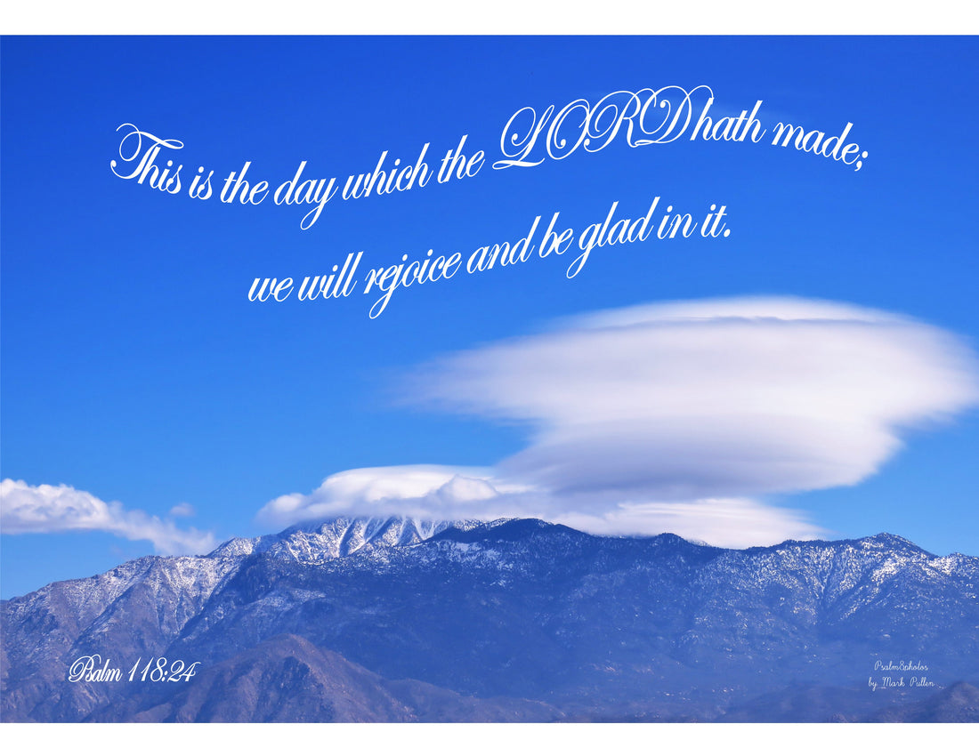 SCRIPTURE OPTIONS