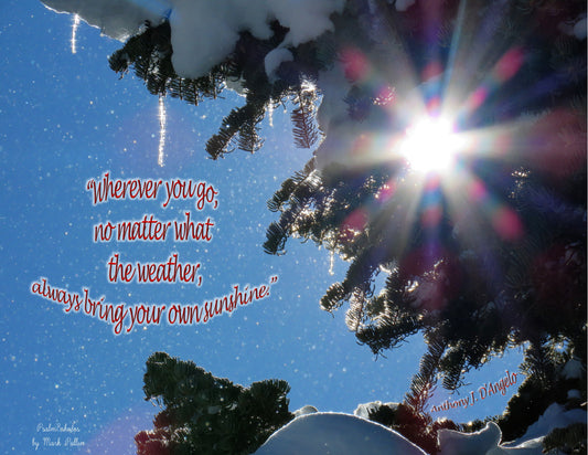 Photo Inspirational Quote Anthony J. D'Angelo Snow Covered Pine Trees with Icicles and Bright Sun Duck Creek Village Utah