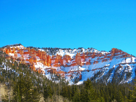 Photo Snow Covered Cliffs Pine Trees Blue Sky Duck Creek Village Utah
