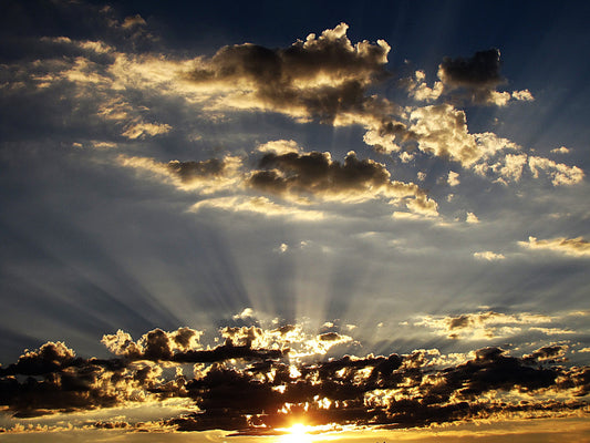 Photo Spectacular Sunset Sacramento California