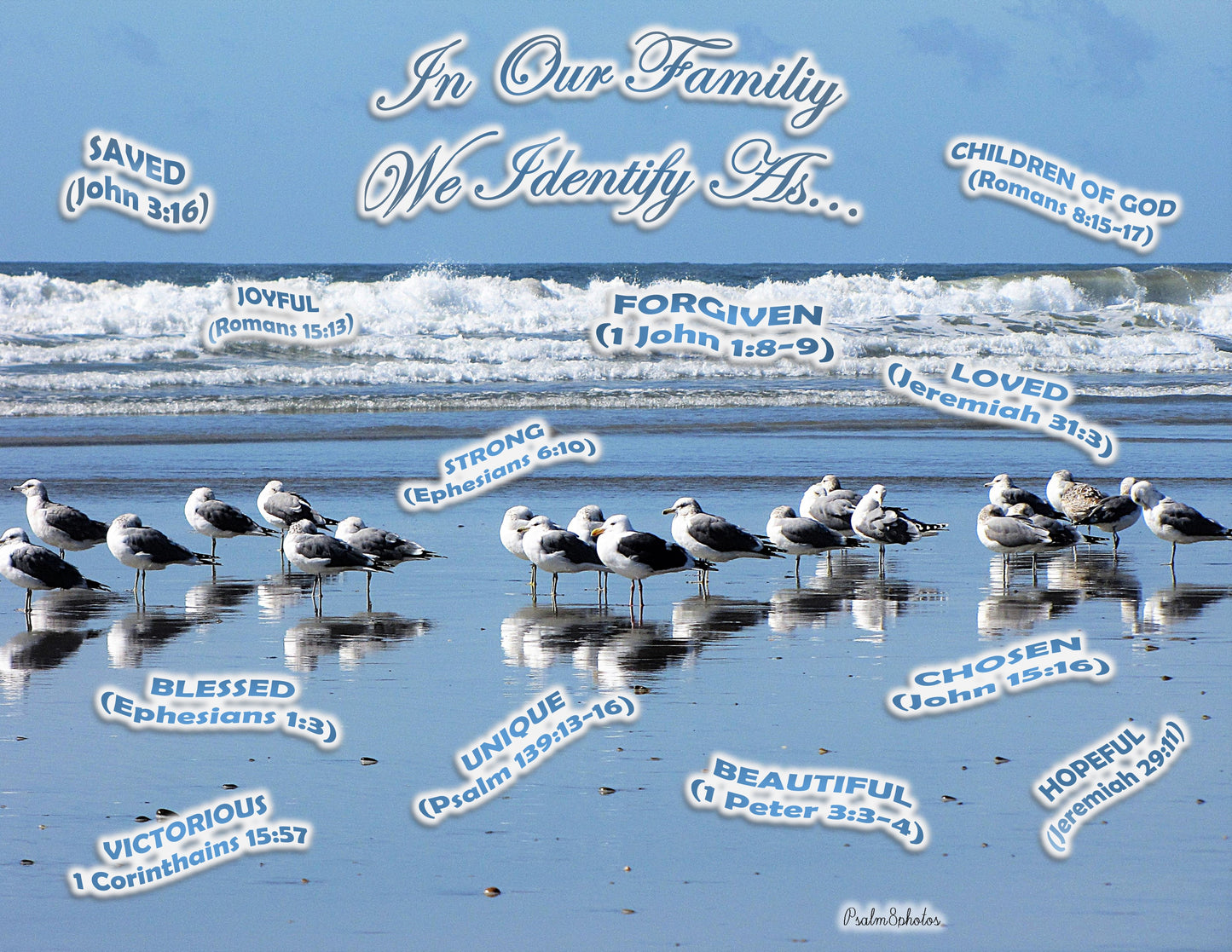 Photo I Identify as: Oceanside California Sea Gulls Sleeping and Waves