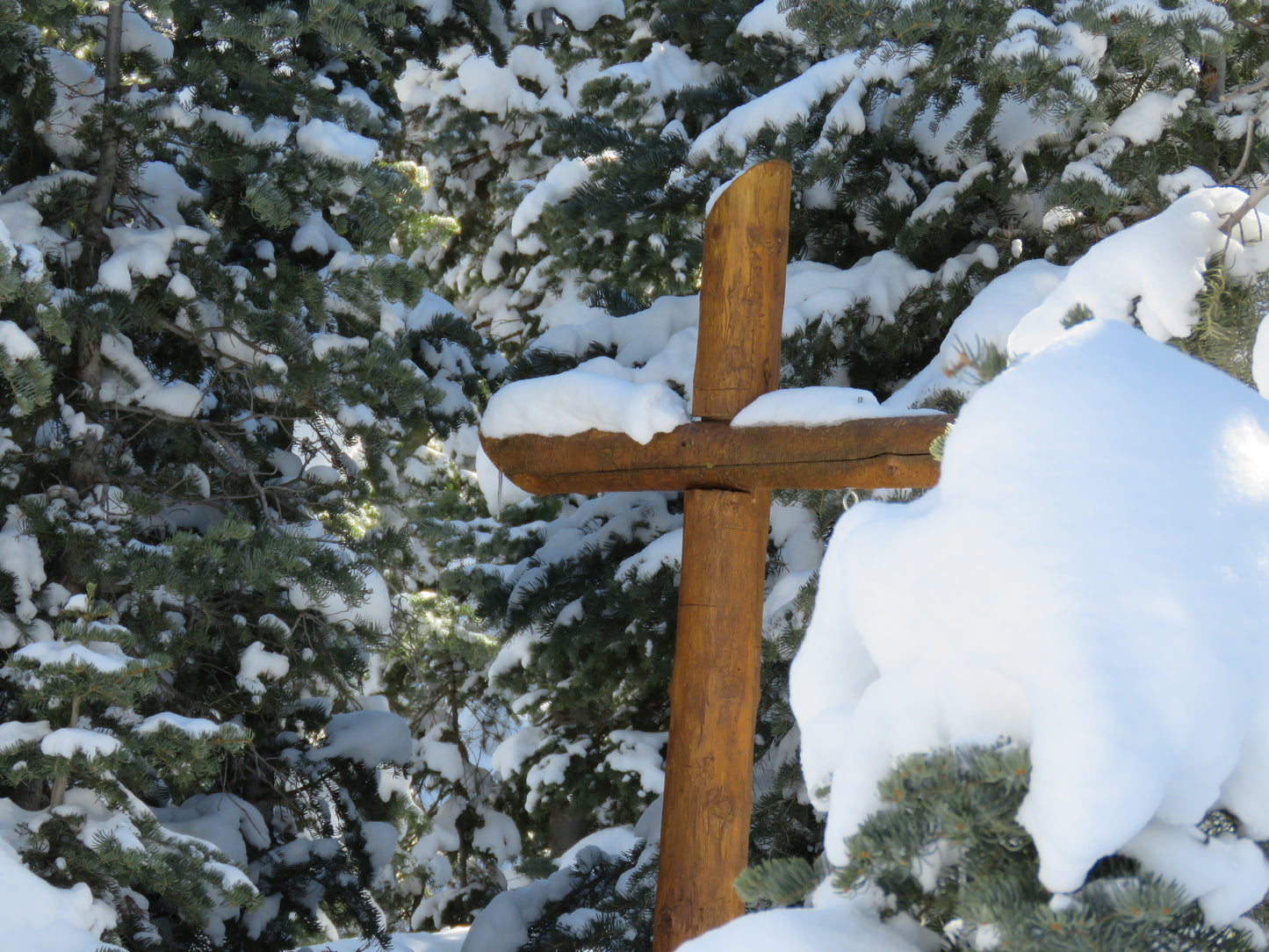 Photo Cross Snow Pine Trees Duck Creek Village Utah