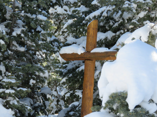 Photo Cross Snow Pine Trees Duck Creek Village Utah
