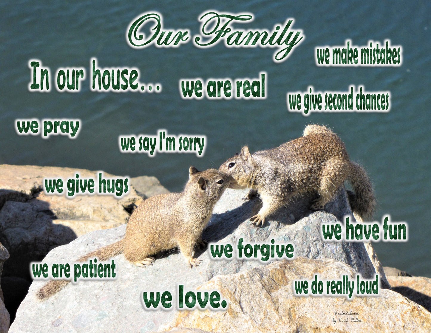 Photo Family Love Oceanside California smooching squirrels on rocks Customize