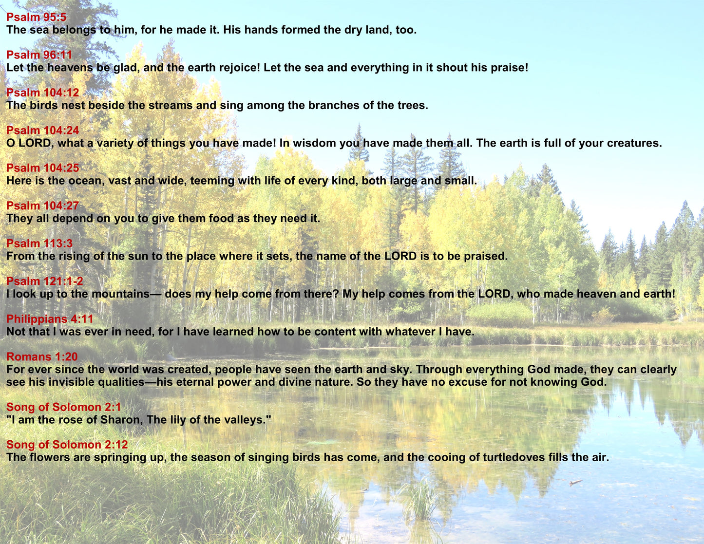 CUSTOM SCRIPTURE OPTIONS page 4